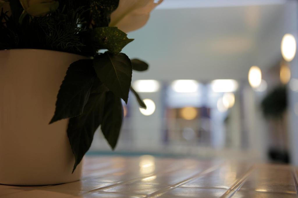 The Red Lea Hotel Скарборо Экстерьер фото